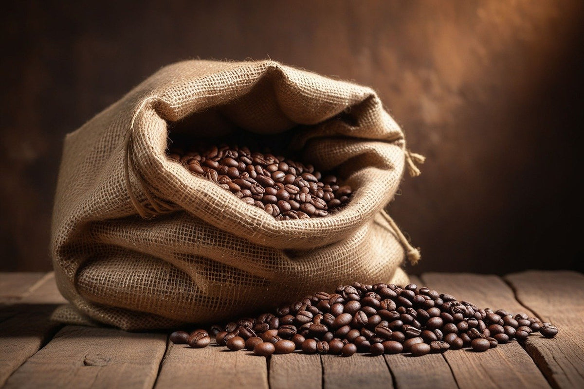 Nos Cafés